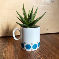 Plant Vase (only) Thomas