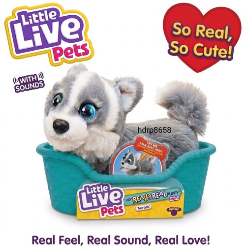 Little live pets - little, my