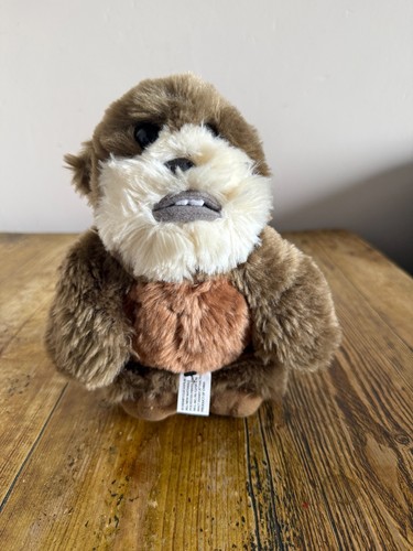 Disney star wars - star,