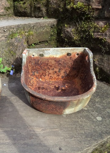 Water bowl cattle sheep - water,