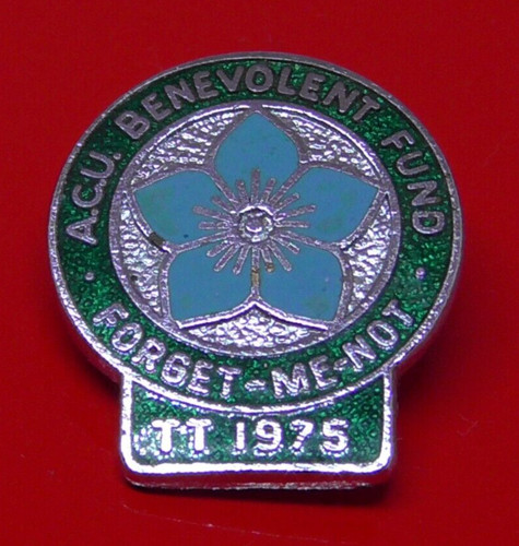Small enamel pin badge 1975 - badge,