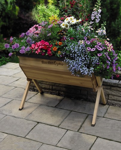Garden grow raised - garden,