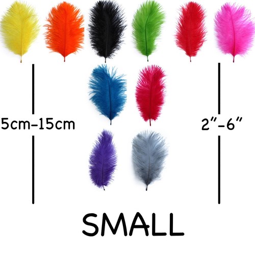 Small ostrich feathers - ostrich, 5cm