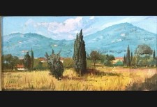 G. Ponticelli - Campo di