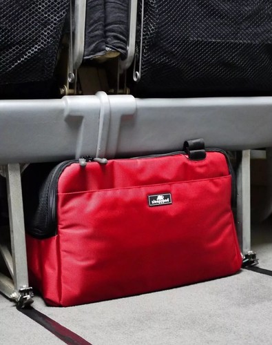 Sleepypod atom pet - sleepypod,