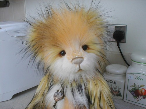 Charlie bears cheese whizz - charlie,