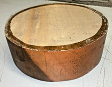 235X75MM LOT 633A LONDON PLANE
