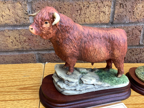 Border fine arts - highland, bull