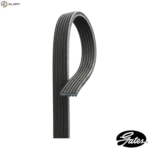 Vribbed belt 6dpk1853 for - 6dpk1853,