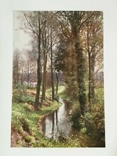 Water Lane Near East Horsley -