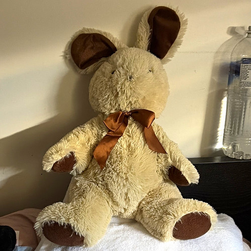 Cream teddy bear - bear, soft