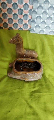 Camel box jewellery porcelain - camel,