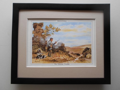 Norman thelwell shooting - norman,