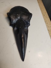 Raven Skull Hand Mirror, Silver Coffin Mirror, Gothic Decor, Oddities