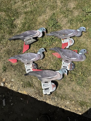 Fud pigeon decoys - fud, 5