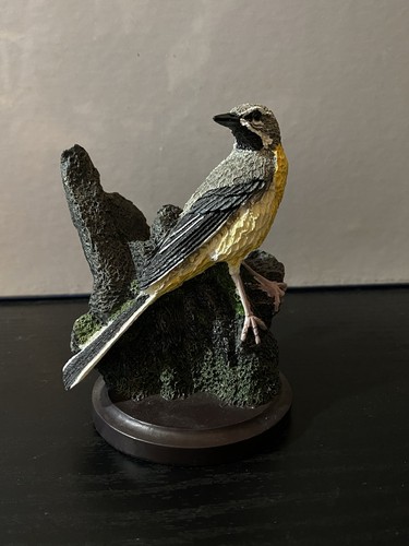 Country bird collection grey - bird,