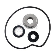 Water Pump Seal And Oil Seal