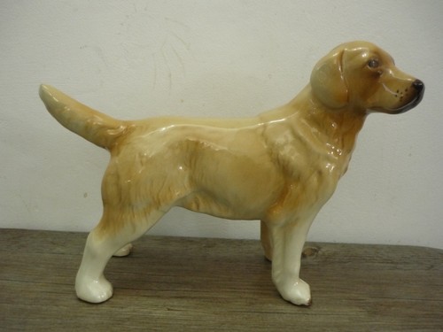 Vintage golden labrador - vintage,