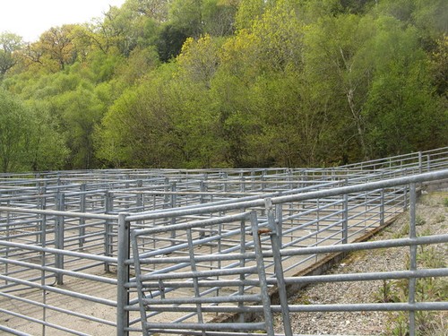 Photo livestock pens at - pens,