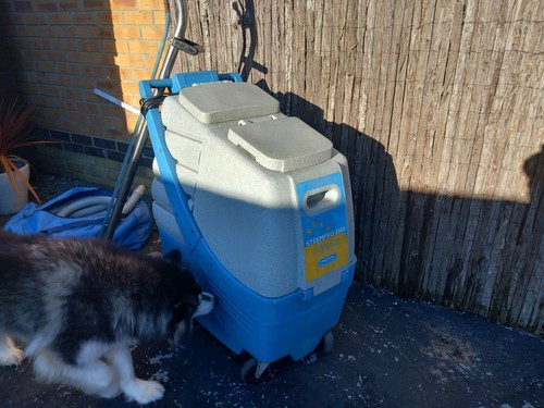 Carpet cleaning machine - cleaning,