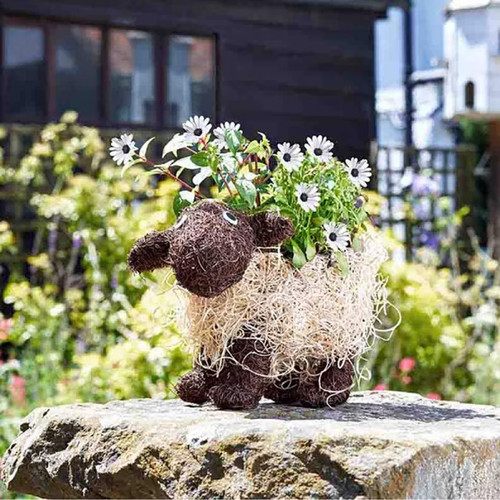 Rattan dolly sheep - sheep, planter