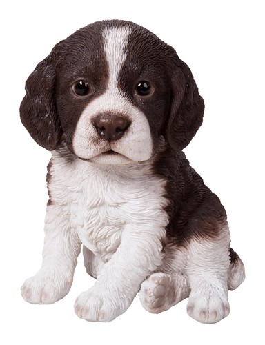 Vivid arts pet - vivid, springer