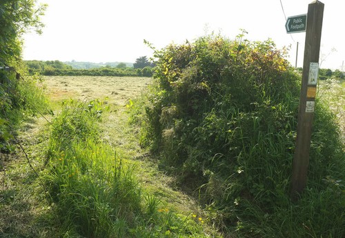 Photo 12x8 footpath near caute - photo,