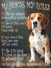 Beagle Dog My House My Rules