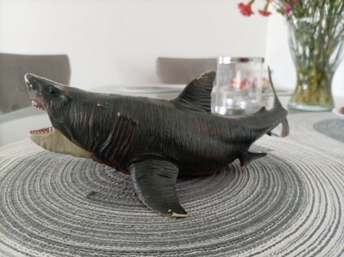 Educational shark action - educational,