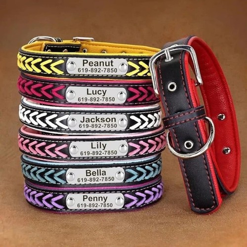 Personalised dog collar - personalised,