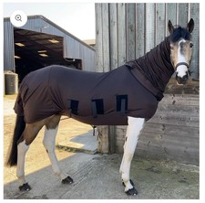 Snuggy bug body in - 🆕,