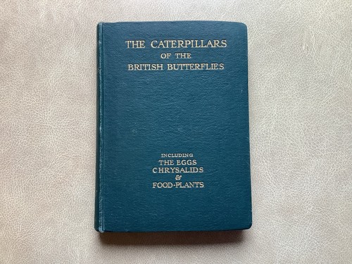 The caterpillars - the, of