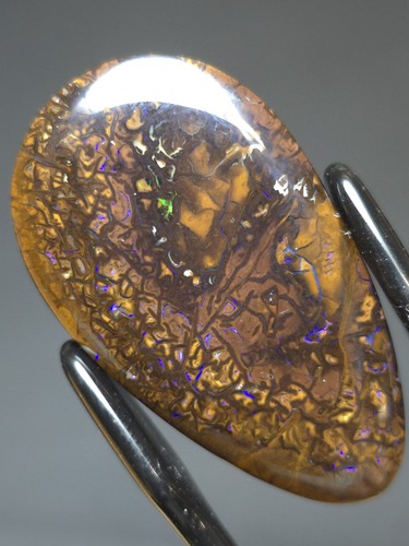 9cts queensland boulder - 33.9cts,