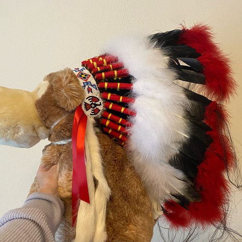 Native american style full - american,