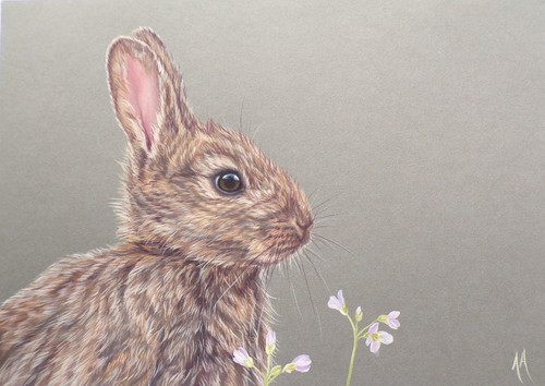 Rabbit original painting by - -,