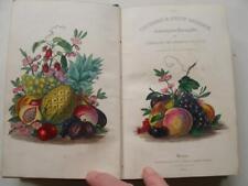 THE ORCHARD Management of