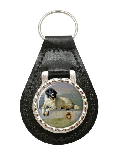 Newfoundland dog landseer - newfoundland,