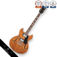 Aria Pro II TA200 MH SemiAcoustic Guitar Small Body Lightweight Clear Warm Tone