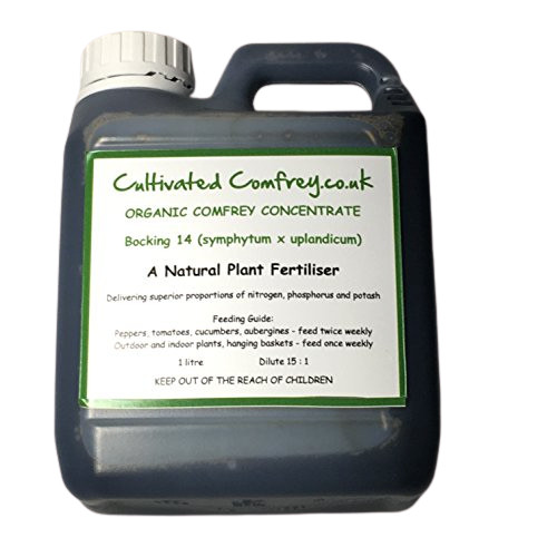 Comfrey concentrate organic - comfrey,