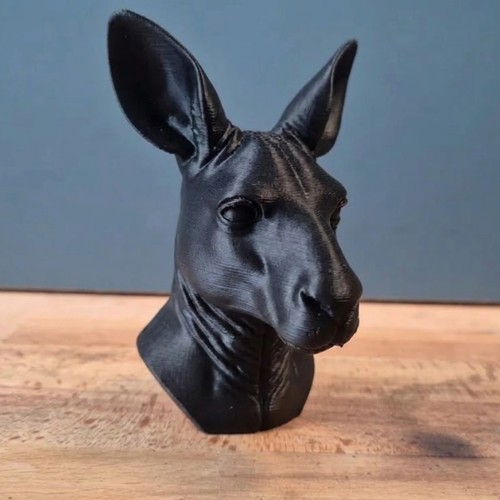 Wallaby animal bust home - wallaby,