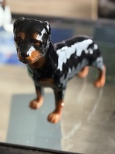 Coopercraft Rottweiler dog