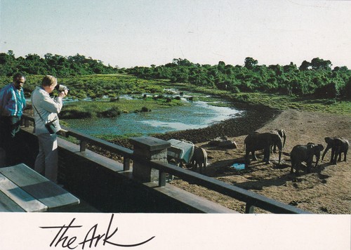 The ark kenya - ark,