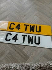 CAT WU CHERISHED NUMBER REG