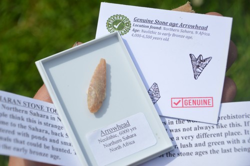 Genuine prehistoric - genuine, prehistoric/