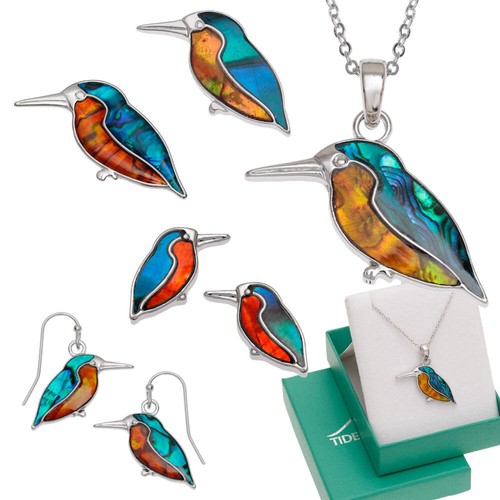 Kingfisher paua shell - paua,