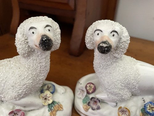 Pair staffordshire poodles - pair,