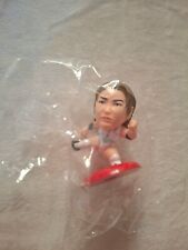 Various Mini Wrestling Figures