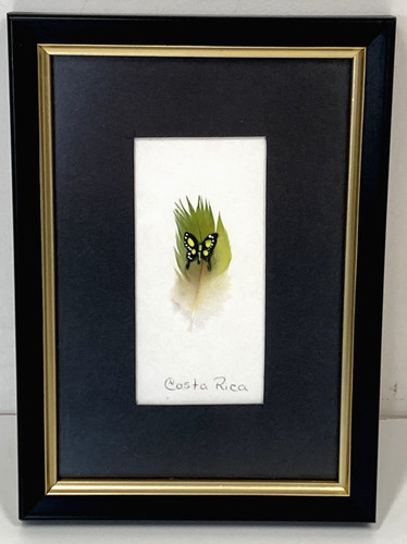 Costa rica feather hand - feather,