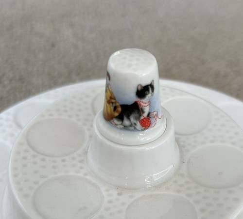 Wedgewood playful kittens - wedgewood,
