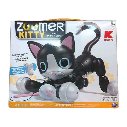 New zoomer kitty - zoomer,